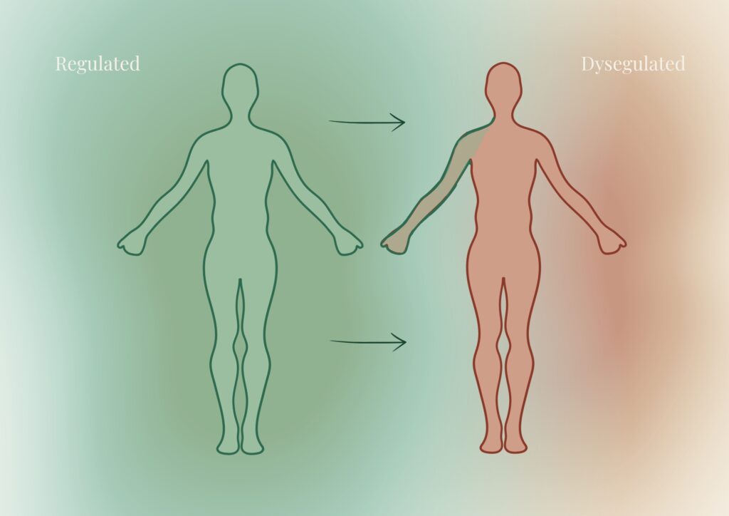 Diagram showing how a regulated nervous system can help co-regulate a dysregulated one.