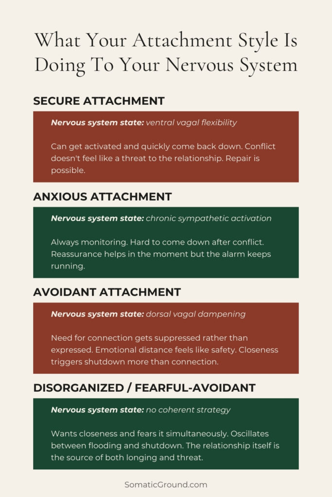 Infographic showing the four attachment styles and their nervous system patterns.