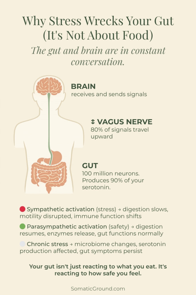 Diagram showing the bidirectional communication between the gut and brain via the vagus nerve.
