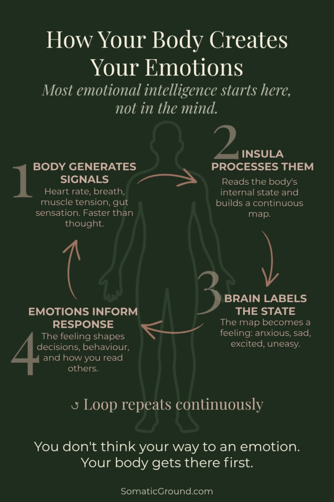 Diagram showing the interoception loop from body signals to emotional experience.