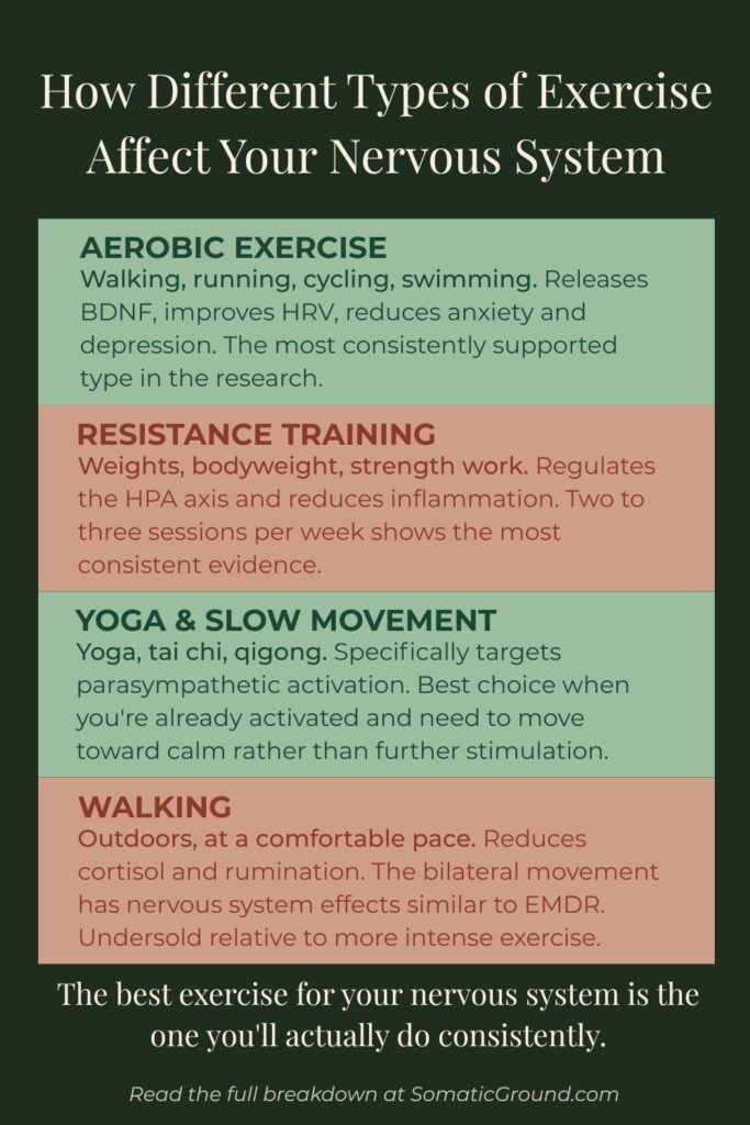 Infographic showing four types of exercise and their nervous system effects.